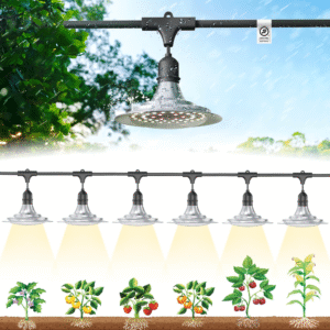 Outdoor Grow Lights for Greenhouse
